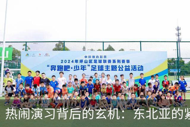 热闹演习背后的玄机：东北亚的紧张局势与朝鲜的反击